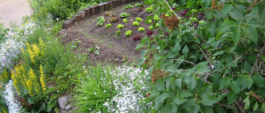 Riobianco e dintorni